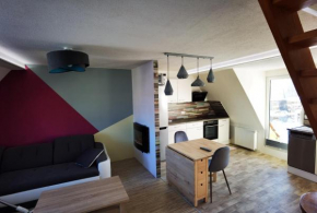 Gemütliche Dachwohnung mit kleiner oder großer Dachterrasse nebeneinander